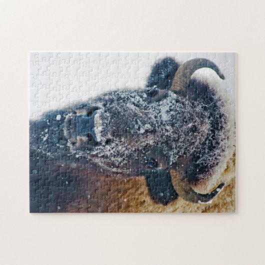 Amerikanischer Bison im Schnee-Tier-Puzzlespiel Puzzle (Horizontal)