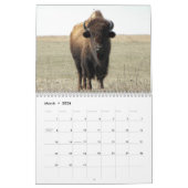 Amerikanischer Bison Kalender (Mär 2026)