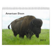 Amerikanischer Bison Kalender (Titelbild)