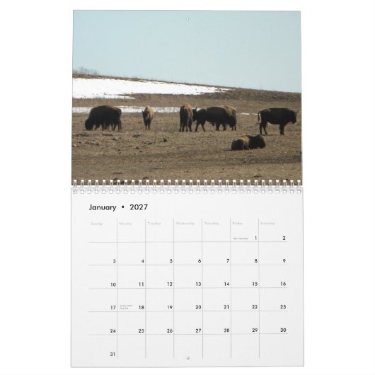 Amerikanischer Bison Kalender (Jan 2027)