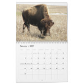Amerikanischer Bison Kalender (Feb 2027)