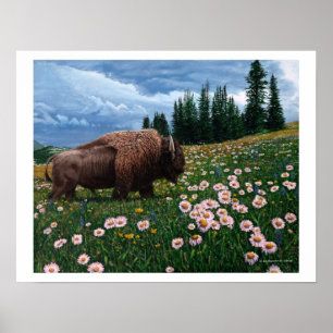 Amerikanischer Bison - "keine Zeit für Blumen " Poster