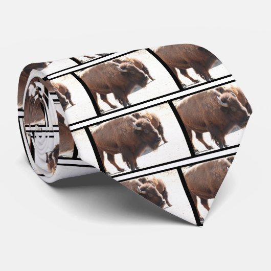 Amerikanischer Bison Krawatte (Gerollt)