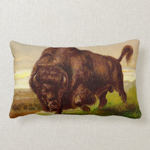 Amerikanischer Bison Lendenkissen