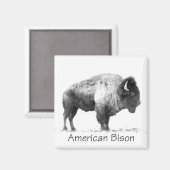Amerikanischer Bison Magnet (Vorderseite/Rückseite)