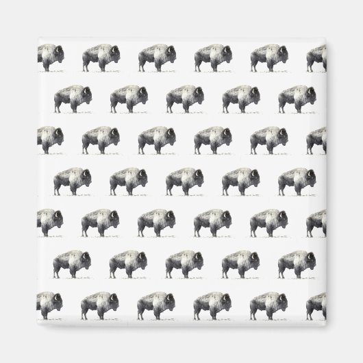 Amerikanischer Bison Magnet (Vorne)