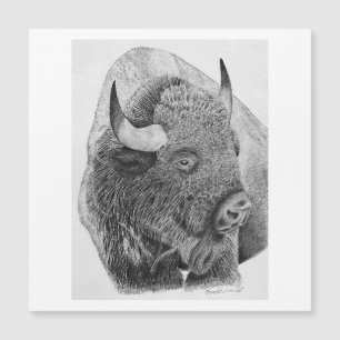 Amerikanischer Bison Magnetkarte