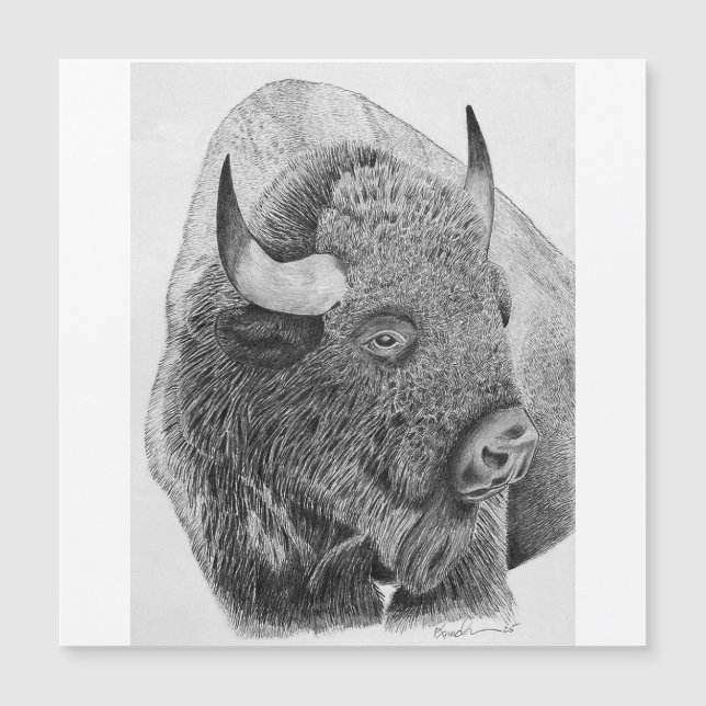 Amerikanischer Bison Magnetkarte (Vorderseite)