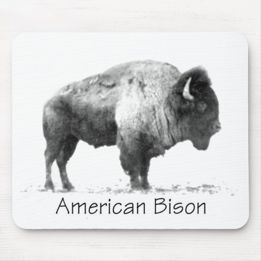 Amerikanischer Bison Mousepad (Vorne)