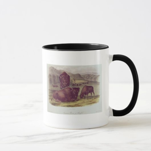 Amerikanischer Bison oder Büffel Tasse (Rechts)