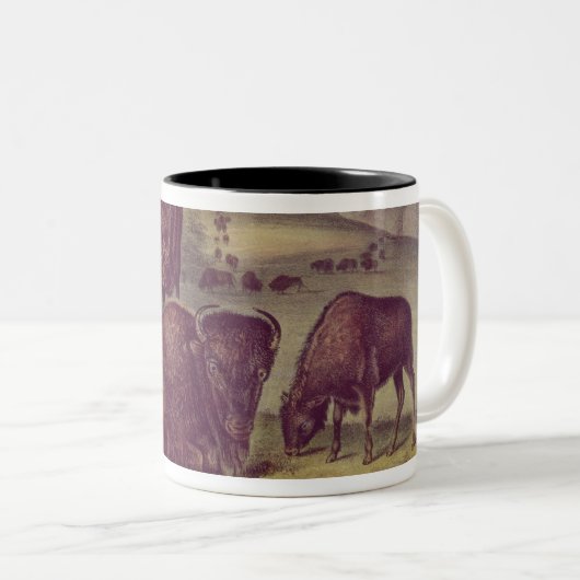 Amerikanischer Bison oder Büffel Zweifarbige Tasse (VorderseiteRechts)