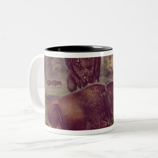 Amerikanischer Bison oder Büffel Zweifarbige Tasse (Vorderseite Links)
