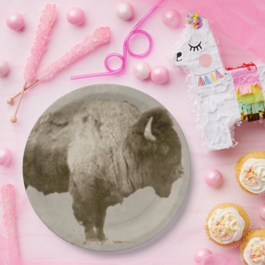 Amerikanischer Bison Pappteller (Party)