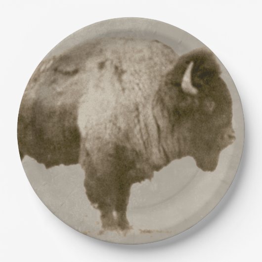 Amerikanischer Bison Pappteller (Vorderseite)