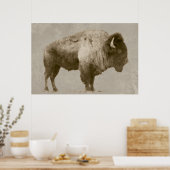 Amerikanischer Bison Poster (Küche)