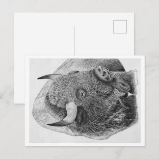 Amerikanischer Bison Postkarte