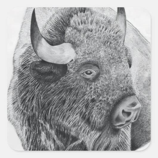 Amerikanischer Bison Quadratischer Aufkleber (Vorderseite)