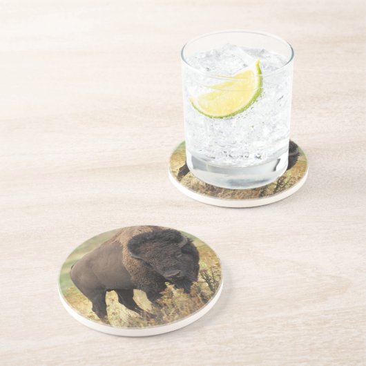 Amerikanischer Bison-Sandstein-Untersetzer Getränkeuntersetzer (Seite)
