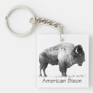 Amerikanischer Bison Schlüsselanhänger