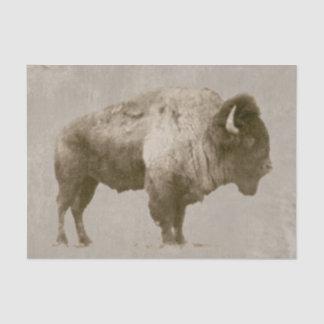 Amerikanischer Bison Seidenpapier