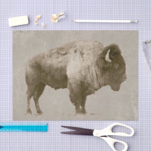 Amerikanischer Bison Seidenpapier (Handwerk)