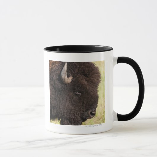 Amerikanischer Bison, South Dakota Tasse (Rechts)
