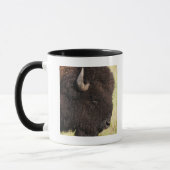 Amerikanischer Bison, South Dakota Tasse (Links)
