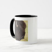 Amerikanischer Bison, South Dakota Tasse (Vorderseite Links)