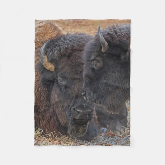 Amerikanischer Bison Stier u. Kuh-verbundene Paare Fleecedecke (Vorderseite)