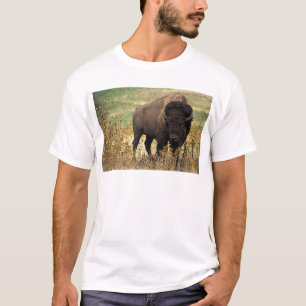 Amerikanischer Bison T-Shirt