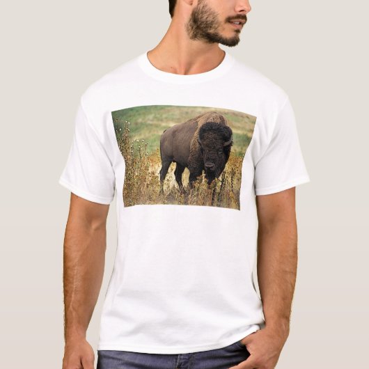 Amerikanischer Bison T-Shirt (Vorderseite)