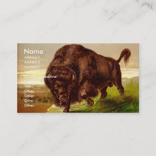 Amerikanischer Bison Visitenkarte (Vorderseite)