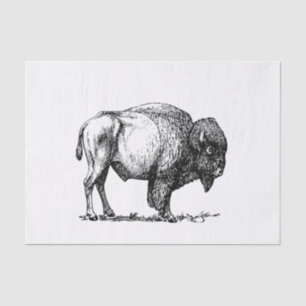 Amerikanischer Büffel-Bison Seidenpapier