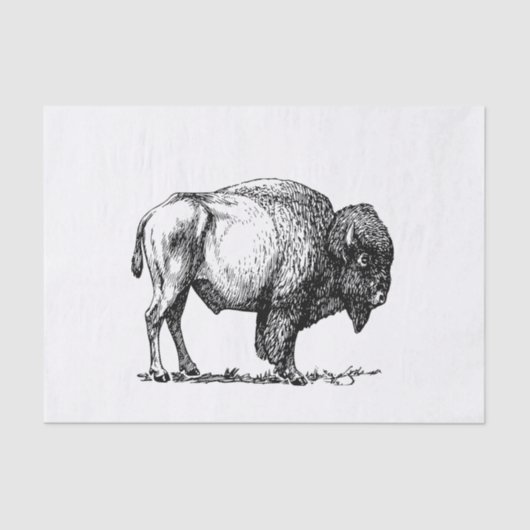 Amerikanischer Büffel-Bison Seidenpapier (Vorderseite)
