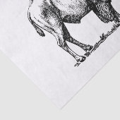 Amerikanischer Büffel-Bison Seidenpapier (Ausschnitt)