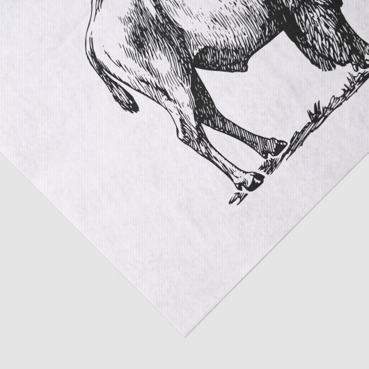 Amerikanischer Büffel-Bison Seidenpapier (Ausschnitt)