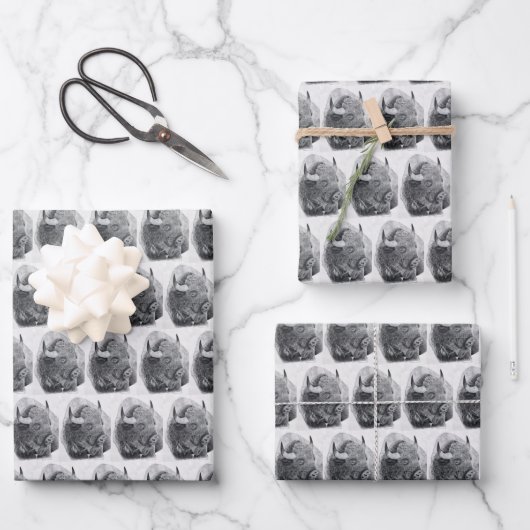 Amerikanischer Büffel Geschenkpapier Set (Vorderseite)