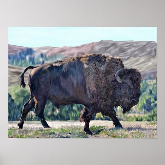 Amerikanischer Büffelbison Poster (Vorne)