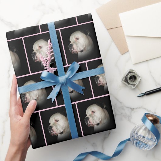 Amerikanischer Bulldog auf schwarz Geschenkpapier (Schenken)