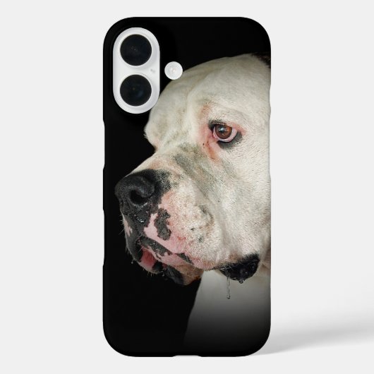 Amerikanischer Bulldog Case-Mate iPhone Hülle (Rückseite)