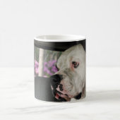 Amerikanischer Bulldog-Drossel Kaffeetasse (Mittel)