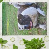 Amerikanischer Bulldog Geschirrtuch (Gefaltet)