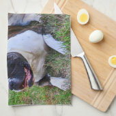 Amerikanischer Bulldog Geschirrtuch (Viertel Falte)