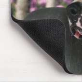 Amerikanischer Bulldog Mousepad (Ecke)