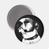 Amerikanischer Bulldogen-Magnet Magnet (Vorderseite/Rückseite)