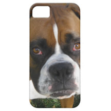 Amerikanischer Bulldogge iPhone 5 Fall