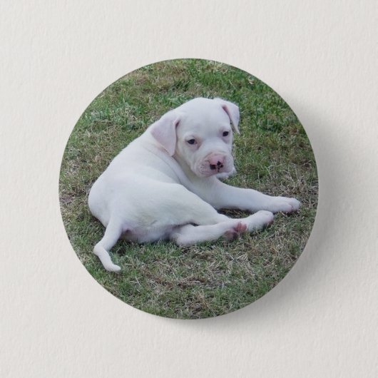 Amerikanischer Bulldoggen-Welpen-Knopf Button (Vorderseite)