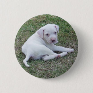 Amerikanischer Bulldoggen-Welpen-Knopf Button