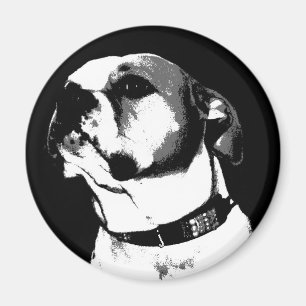 Amerikanischer Bulldoggenmagnet Magnet