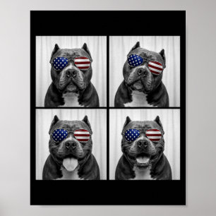 Amerikanischer Bully 4. Juli Amerikanische Flagge  Poster